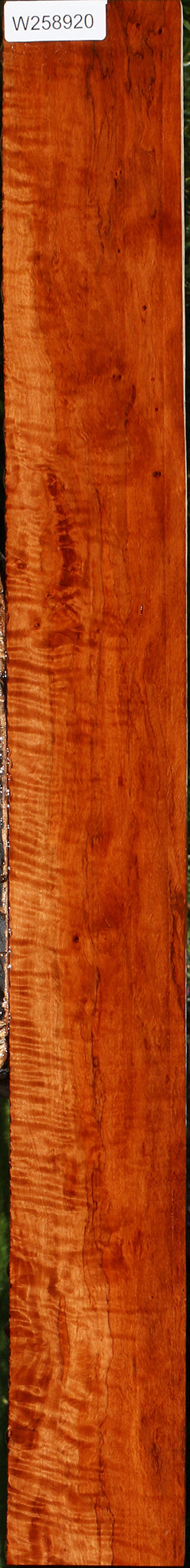 Extra Fancy Burmese Padauk Lumber