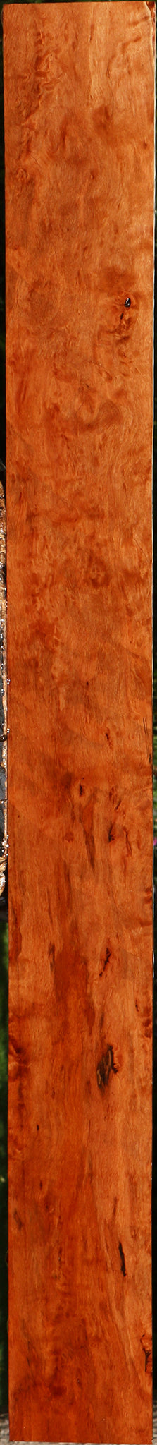 Extra Fancy Burmese Padauk Lumber