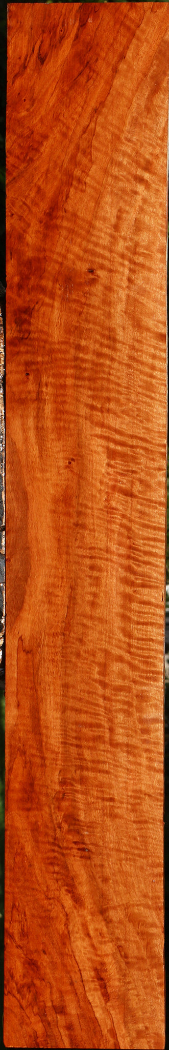 Extra Fancy Burmese Padauk Lumber