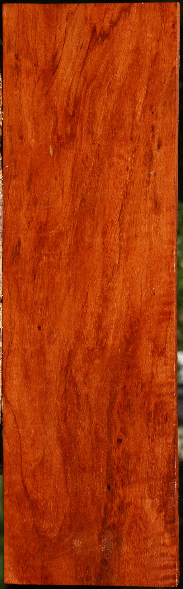 Figured Burmese Padauk Lumber
