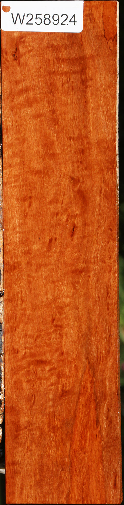 Figured Burmese Padauk Lumber