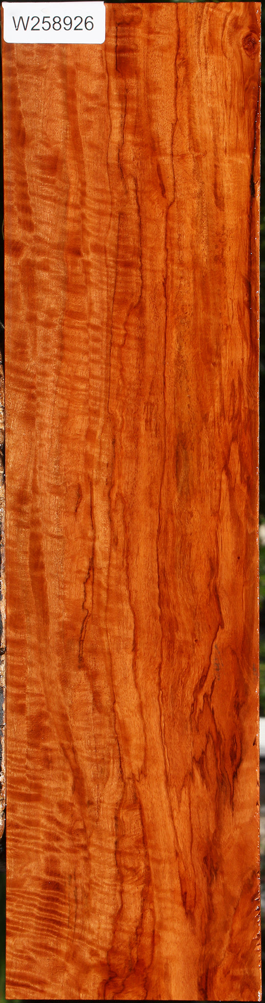 Extra Fancy Burmese Padauk Lumber