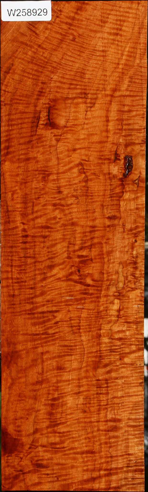 Exhibition Burmese Padauk Lumber