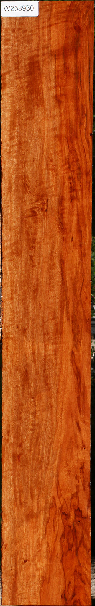 Figured Burmese Padauk Lumber
