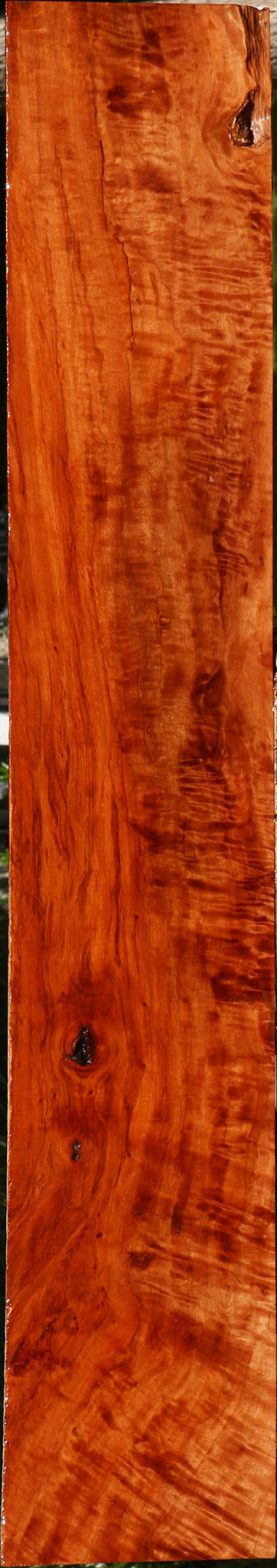 Extra Fancy Burmese Padauk Lumber