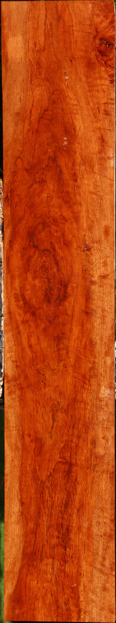 Extra Fancy Burmese Padauk Lumber