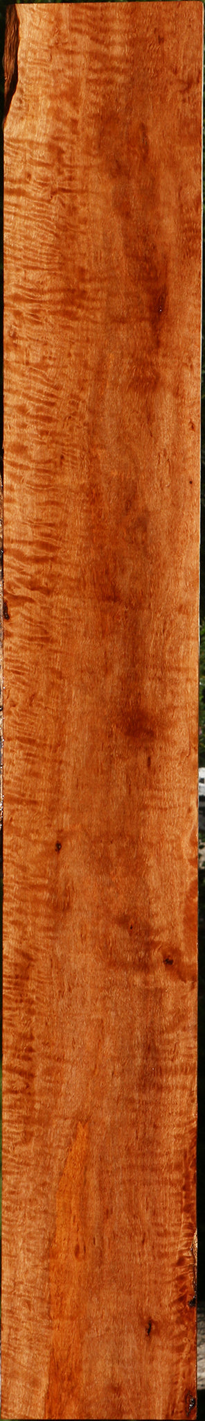 Extra Fancy Burmese Padauk Lumber