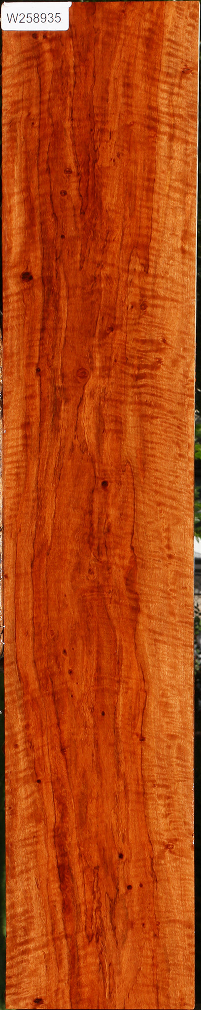 Extra Fancy Burmese Padauk Lumber