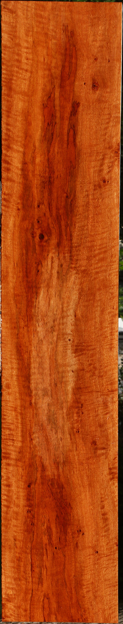 Extra Fancy Burmese Padauk Lumber