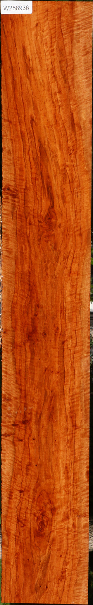 Extra Fancy Burmese Padauk Lumber