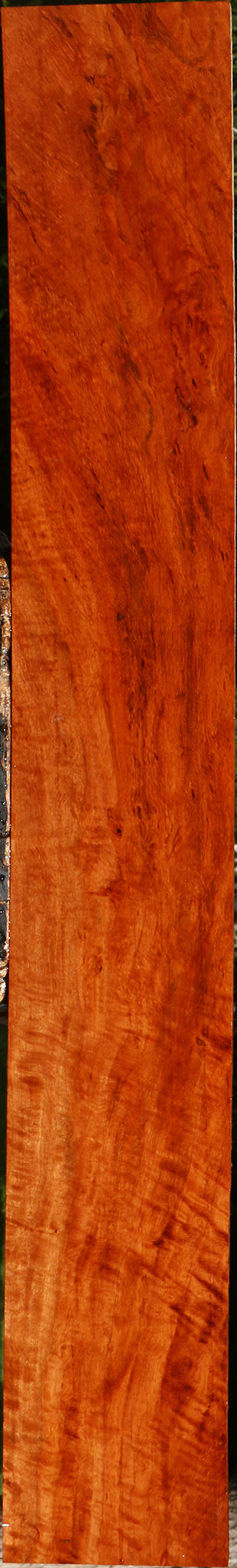 Extra Fancy Burmese Padauk Lumber