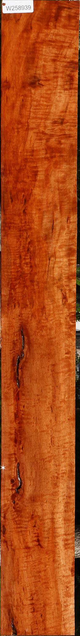 Extra Fancy Rustic Burmese Padauk Lumber