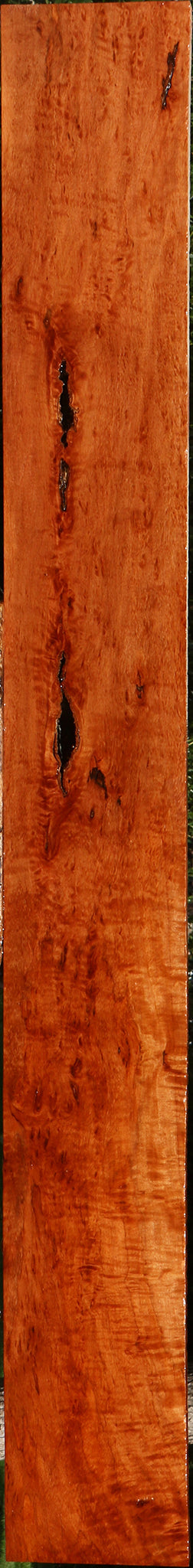 Extra Fancy Rustic Burmese Padauk Lumber