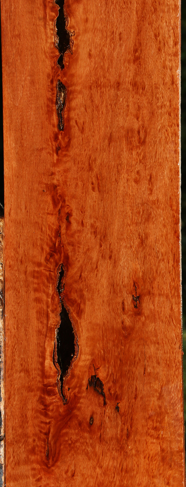 Extra Fancy Rustic Burmese Padauk Lumber