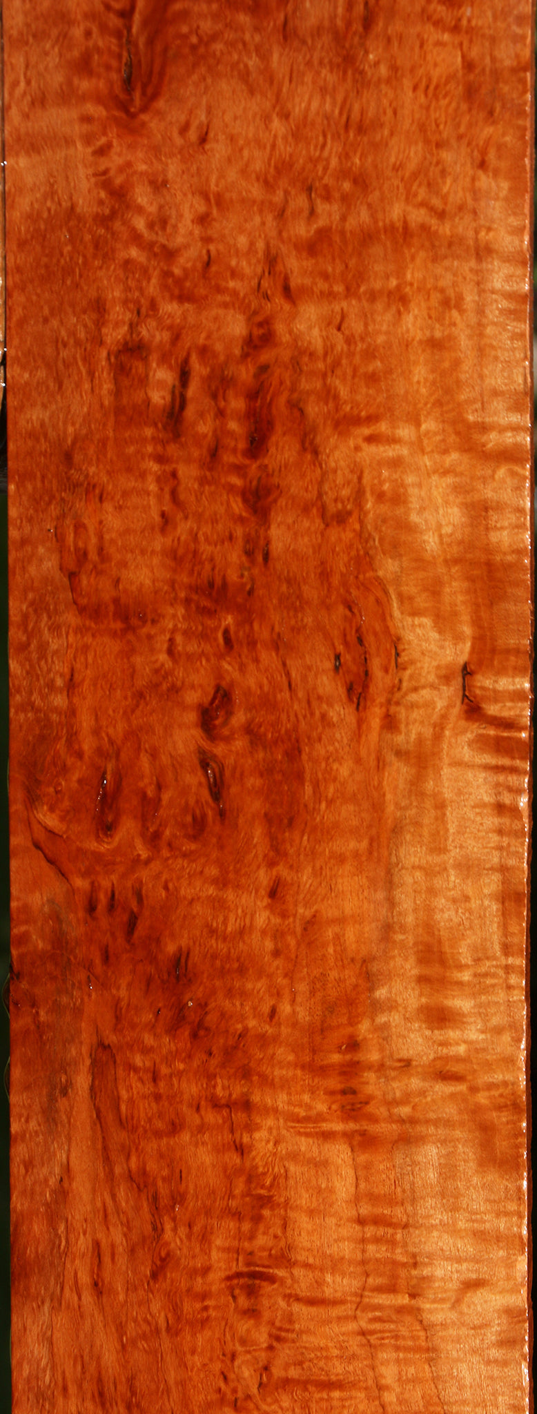 Extra Fancy Rustic Burmese Padauk Lumber