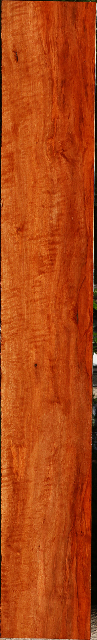 Extra Fancy Burmese Padauk Lumber