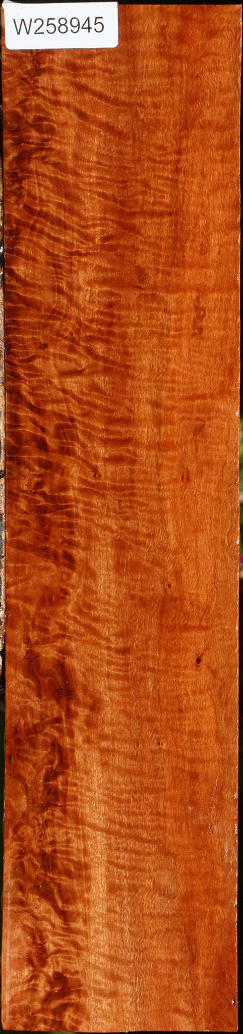 Extra Fancy Burmese Padauk Lumber
