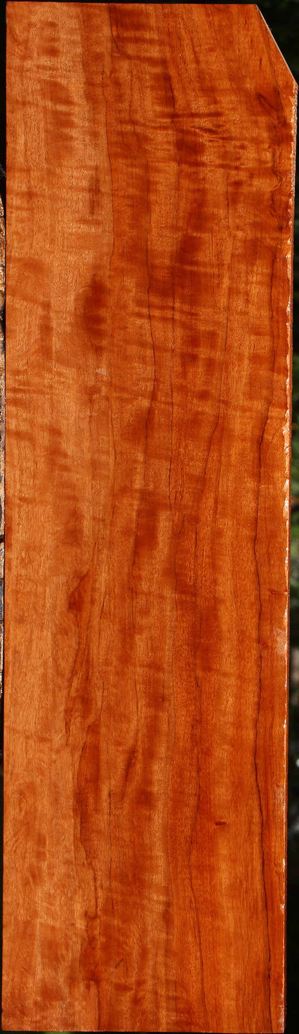Extra Fancy Burmese Padauk Lumber