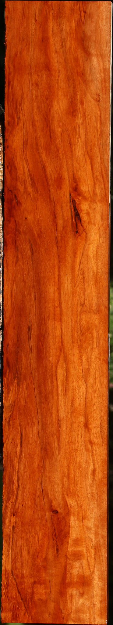 Figured Burmese Padauk Lumber
