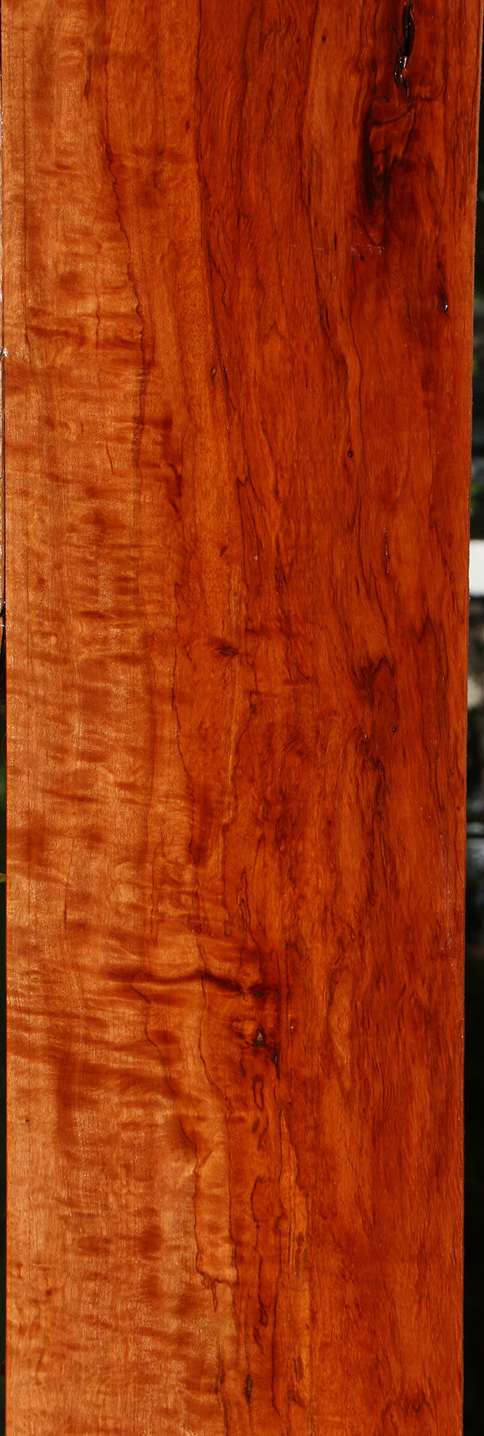 Extra Fancy Burmese Padauk Lumber