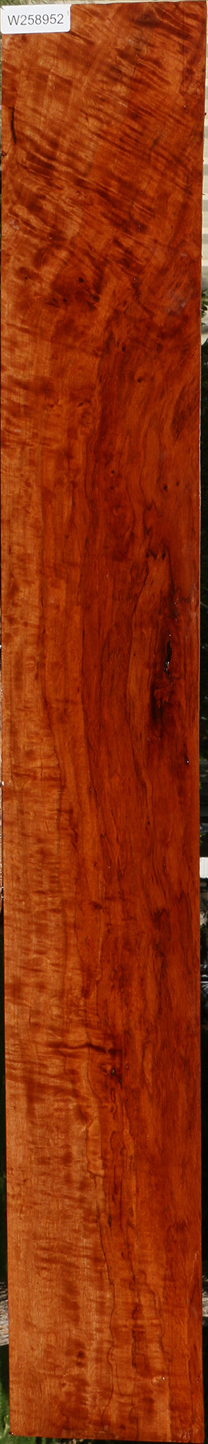 Extra Fancy Burmese Padauk Lumber