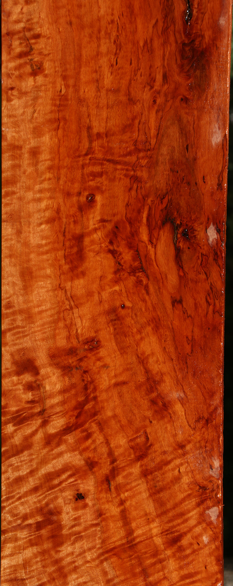 Extra Fancy Burmese Padauk Lumber