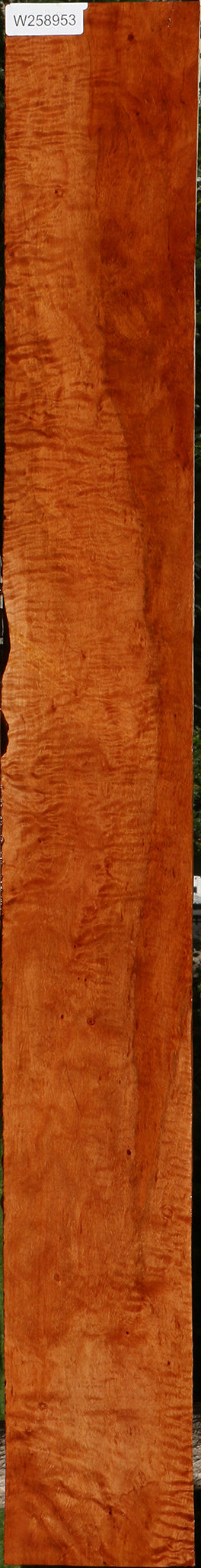 Extra Fancy Burmese Padauk Lumber