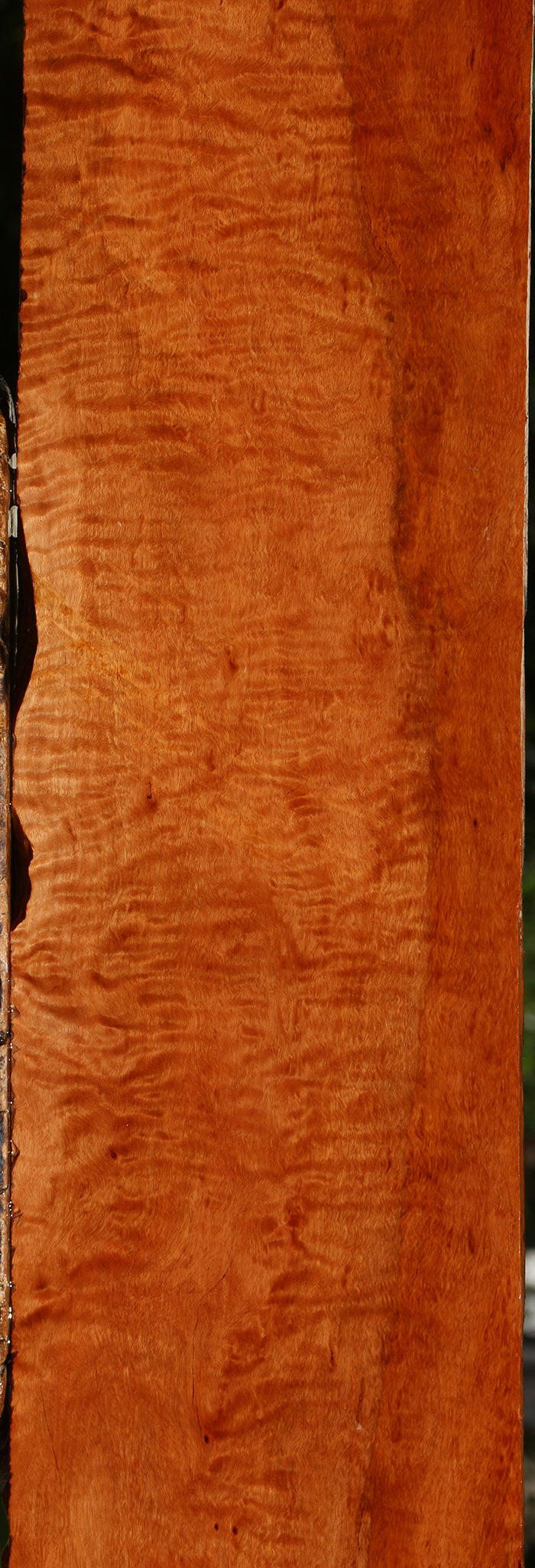 Extra Fancy Burmese Padauk Lumber