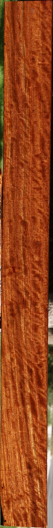 Extra Fancy Burmese Padauk Lumber