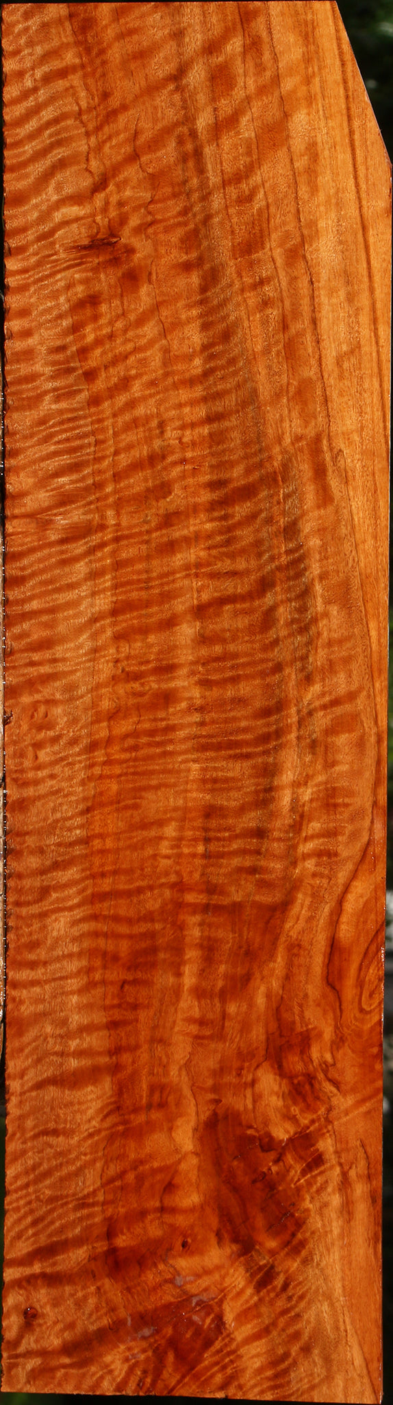 Extra Fancy Burmese Padauk Lumber