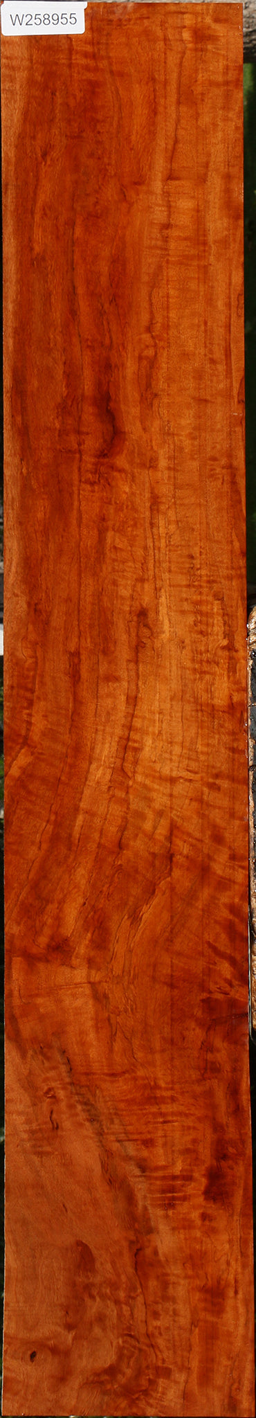 Extra Fancy Burmese Padauk Lumber