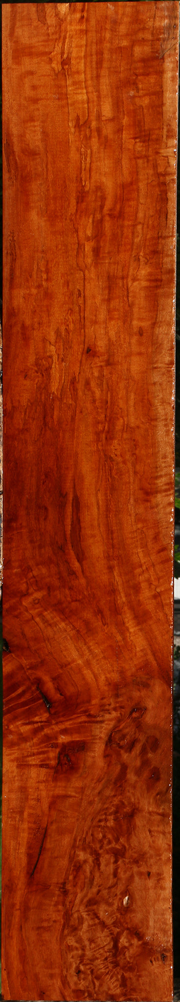 Extra Fancy Burmese Padauk Lumber