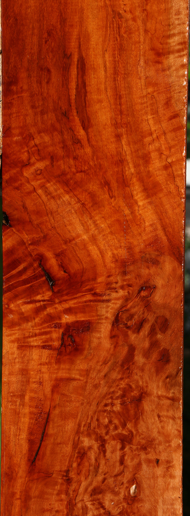 Extra Fancy Burmese Padauk Lumber
