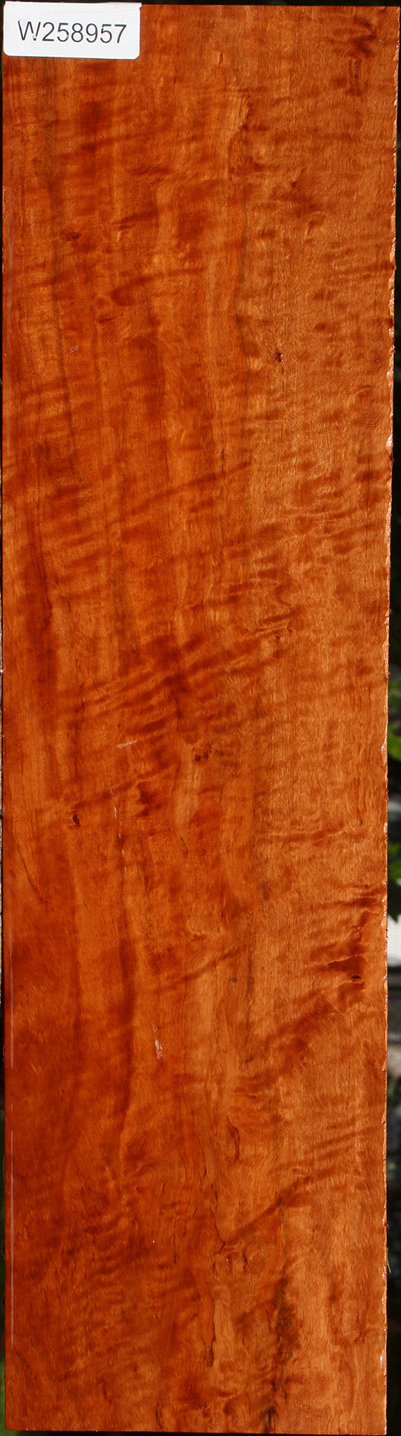 Extra Fancy Burmese Padauk Lumber