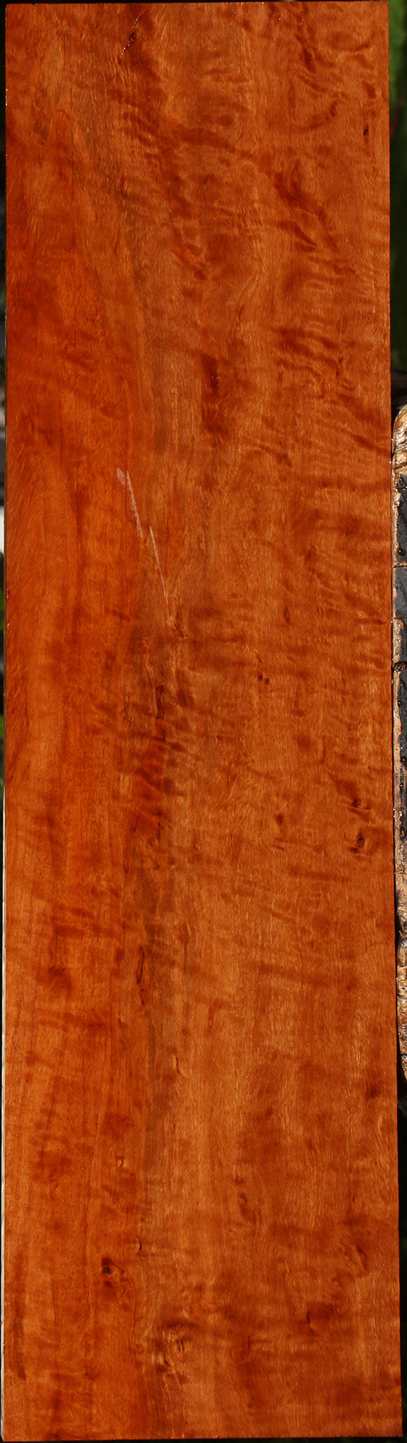 Extra Fancy Burmese Padauk Lumber