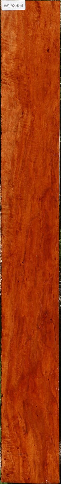 Figured Burmese Padauk Lumber