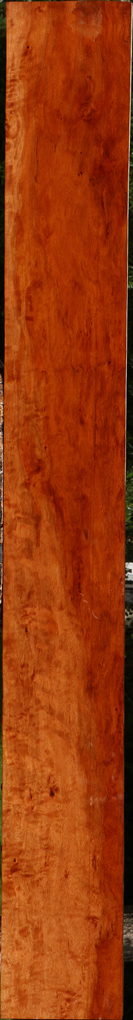 Figured Burmese Padauk Lumber