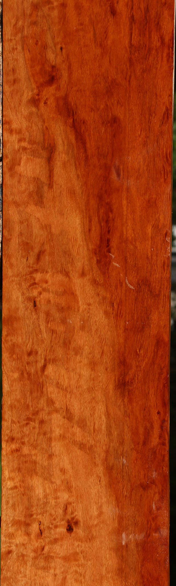 Figured Burmese Padauk Lumber