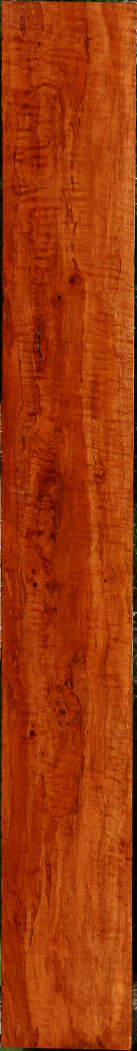 Extra Fancy Burmese Padauk Lumber
