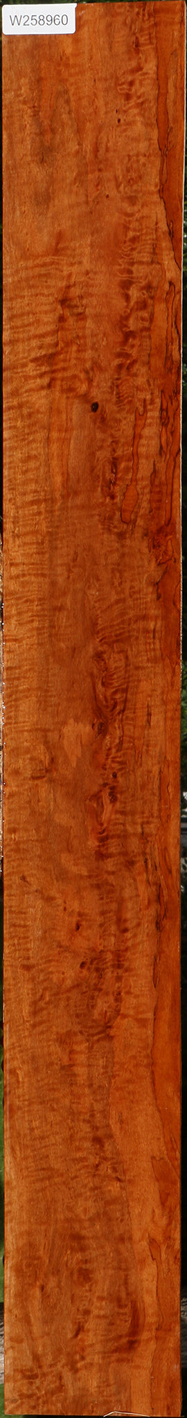 Extra Fancy Burmese Padauk Lumber