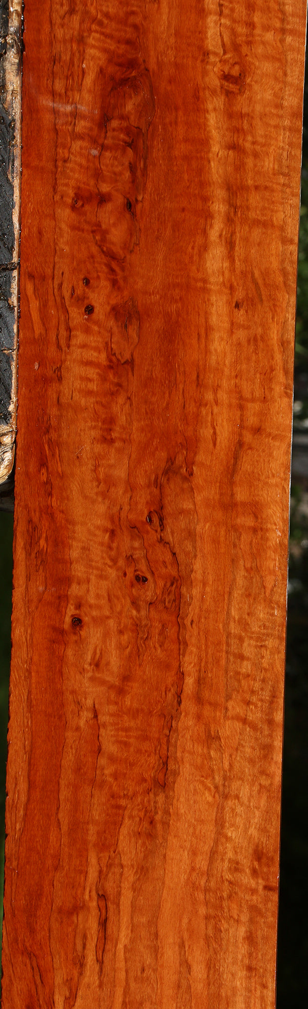 Extra Fancy Burmese Padauk Lumber