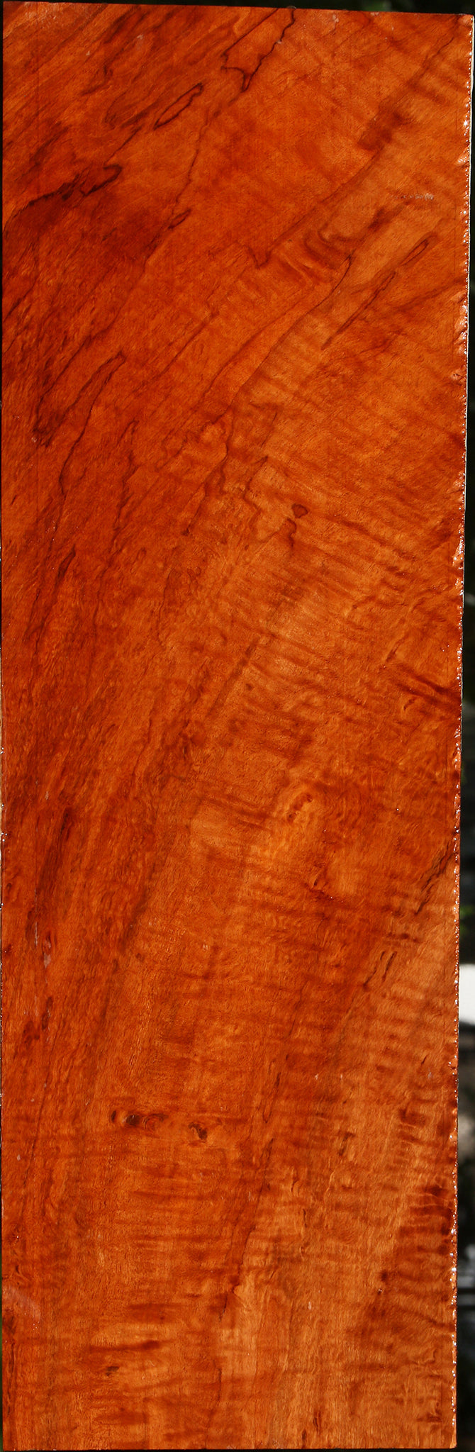 Exhibition Burmese Padauk Lumber