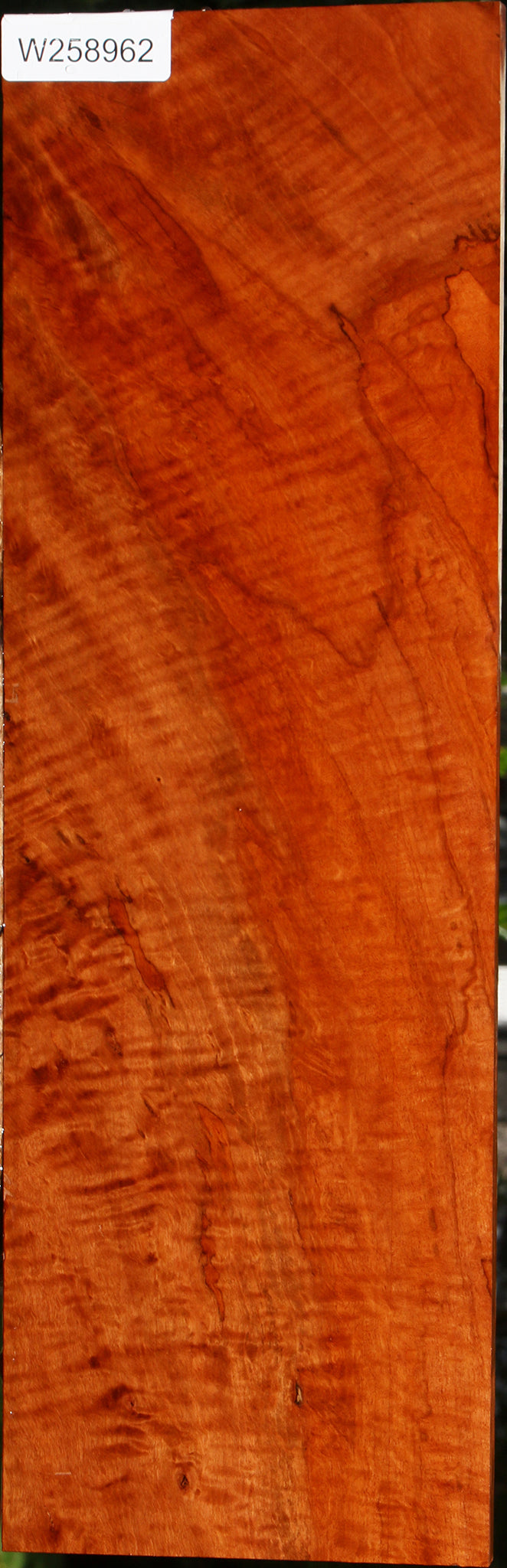 Exhibition Burmese Padauk Lumber