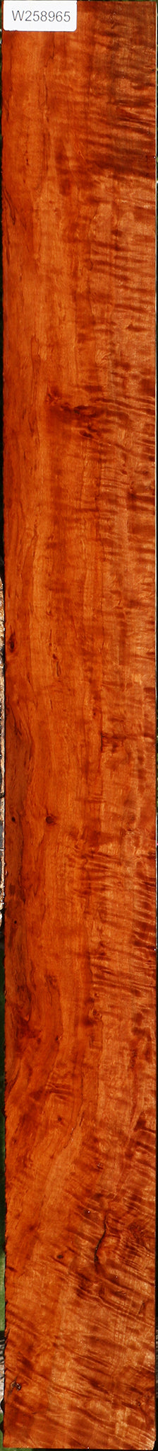 Extra Fancy Burmese Padauk Lumber