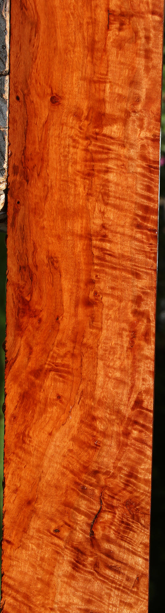 Extra Fancy Burmese Padauk Lumber