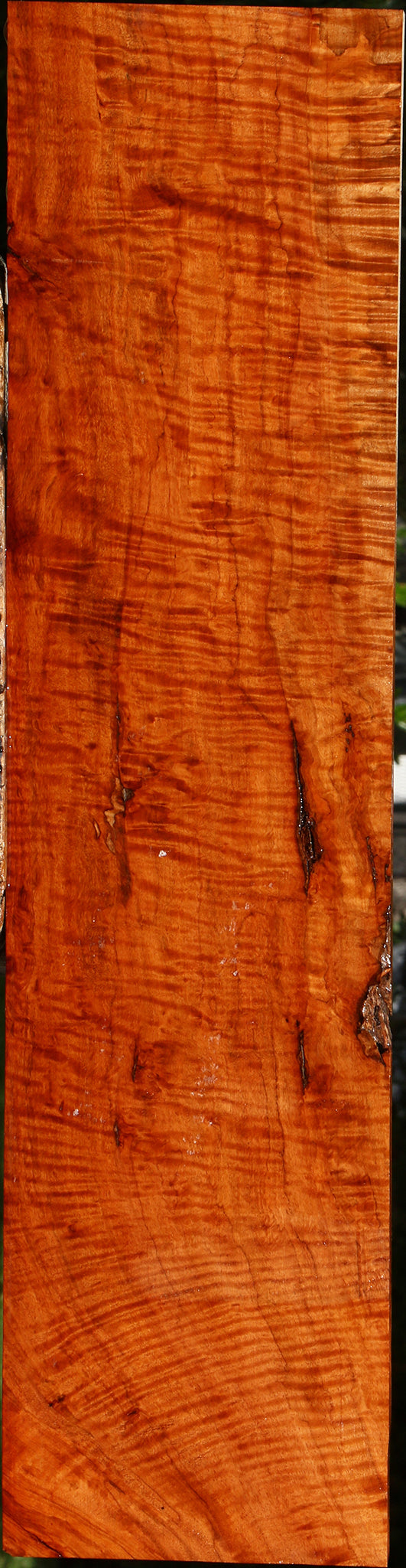 Exhibition Burmese Padauk Lumber
