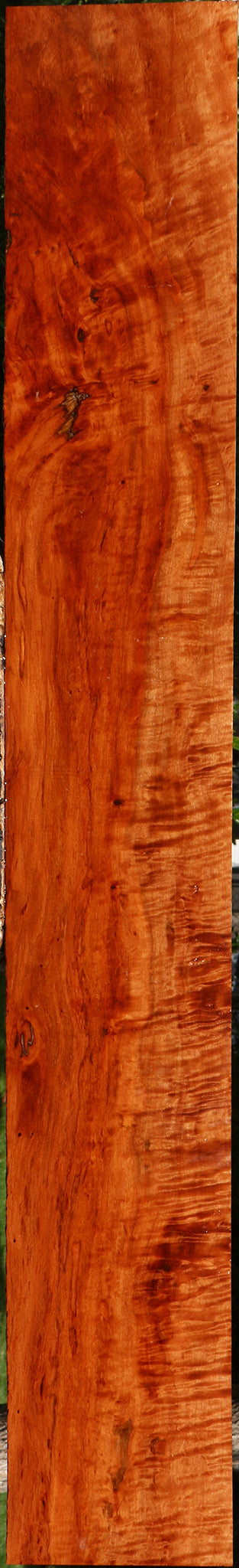 Extra Fancy Burmese Padauk Lumber