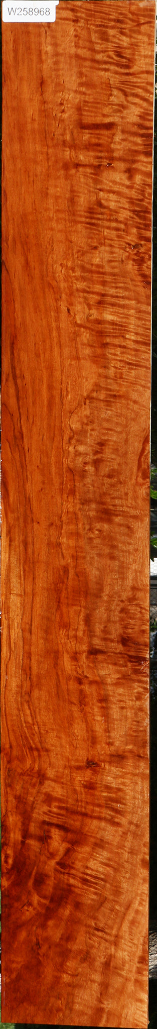 Extra Fancy Burmese Padauk Lumber