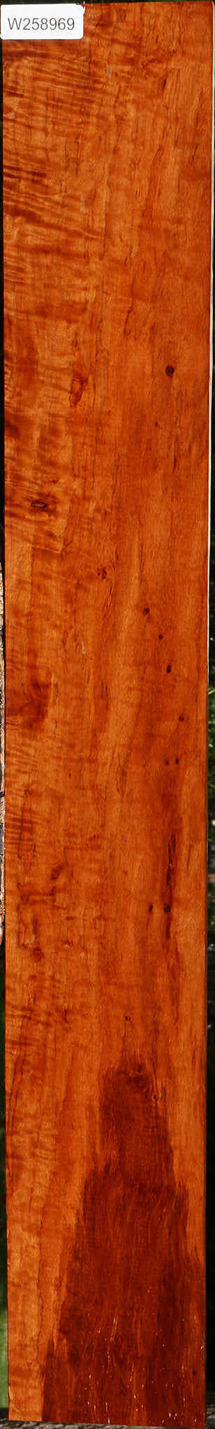 Extra Fancy Burmese Padauk Lumber