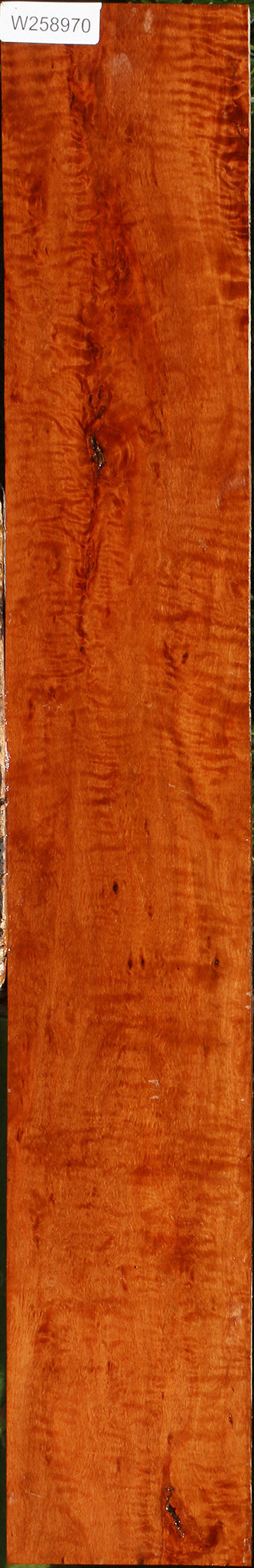 Extra Fancy Burmese Padauk Lumber